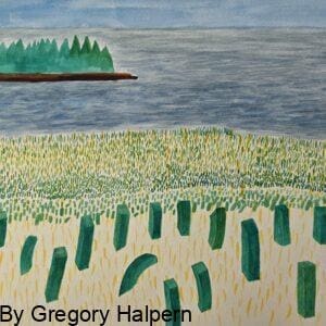 Original watercolor painting of layered grasses, ocean, and island evergreens by Gregory Halpern, available for purchas