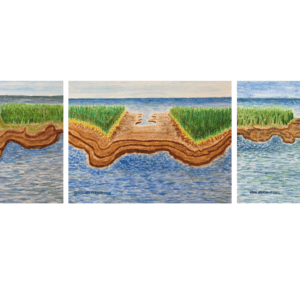 Watercolor triptych showing a continuous coastal island scene across three panels. Each painting depicts marsh grasses, eroded shoreline, and calm water under a pale blue sky, forming a unified landscape when viewed together.